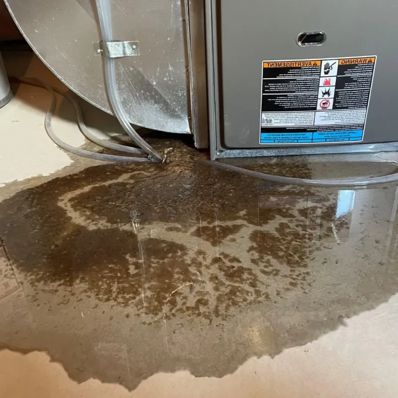 Pipe Burst and Leak Restoration in Stratford, OK