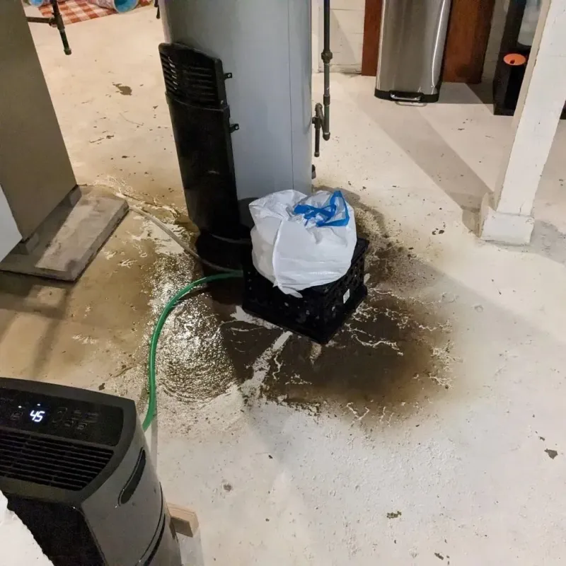 Sewage Backup Cleanup Service in Stratford, OK